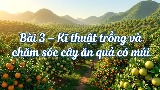 Video mở đầu Công nghệ 9 Bài 3: Kĩ thuật trồng và chăm sóc cây ăn quả có múi (AI)