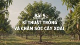 Video mở đầu Công nghệ 9 Bài 5: Kĩ thuật trồng và chăm sóc cây xoài (AI)