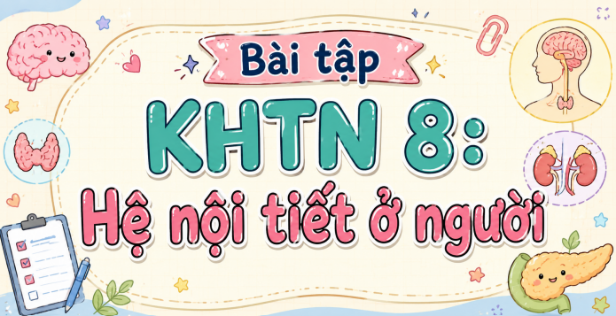 Bài tập KHTN 8: Hệ nội tiết ở người 