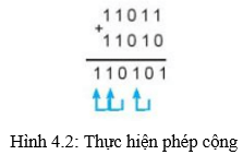 Lý thuyết Tin học 10 bài 4