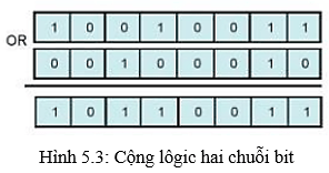 Lý thuyết Tin học 10 bài 5
