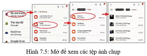 Lý thuyết Tin học 10 bài 7