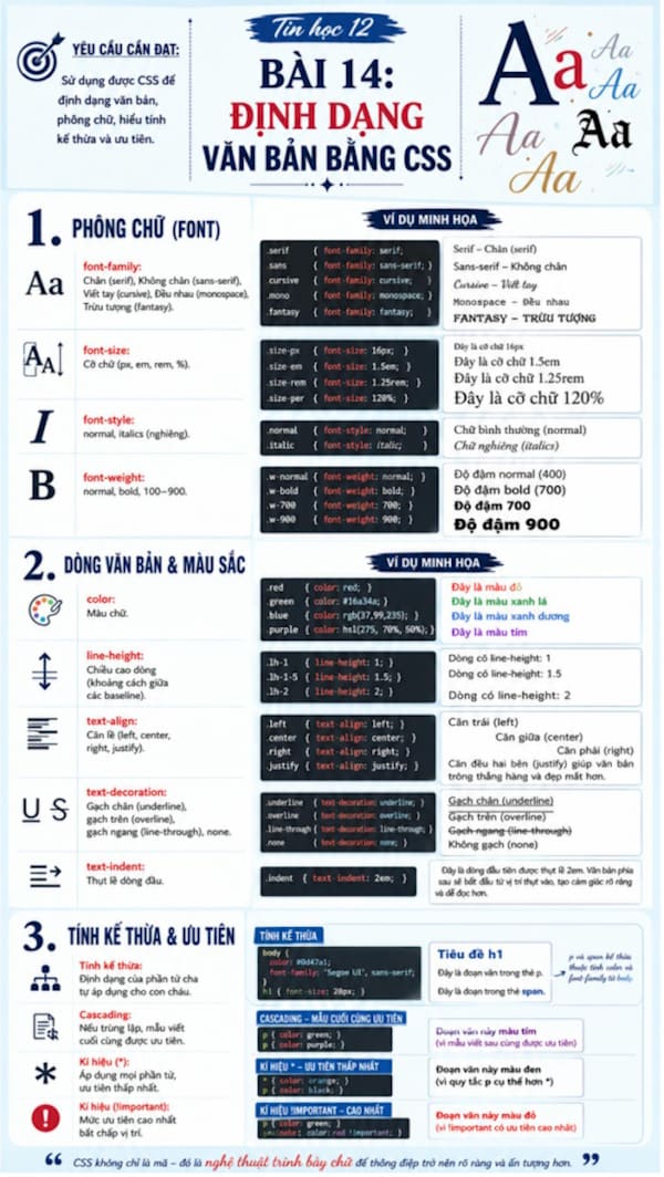 Infographic Tin học 12 bài 14