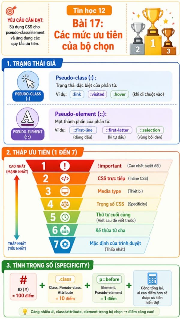 Infographic Tin học 12 bài 17