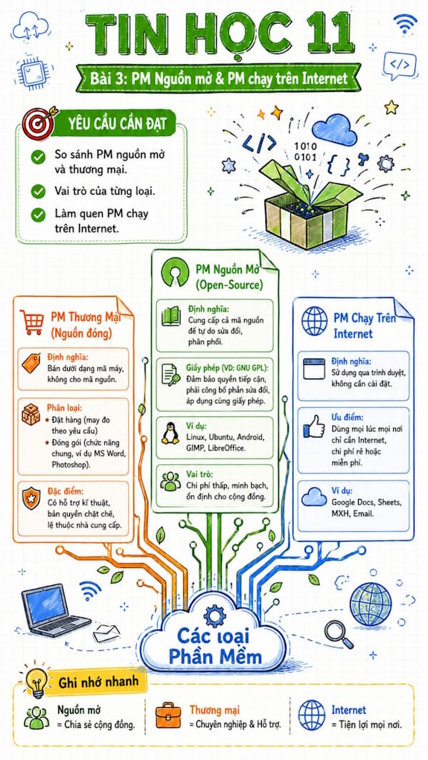 Infographic Tin học 11 bài 3