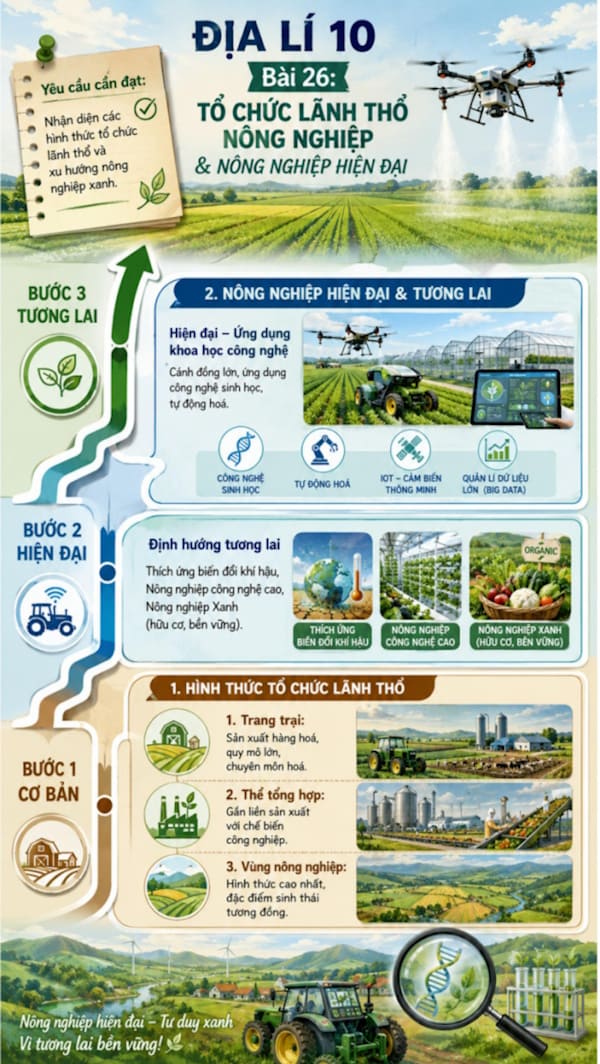 Infographic Địa lí 10 bài 26