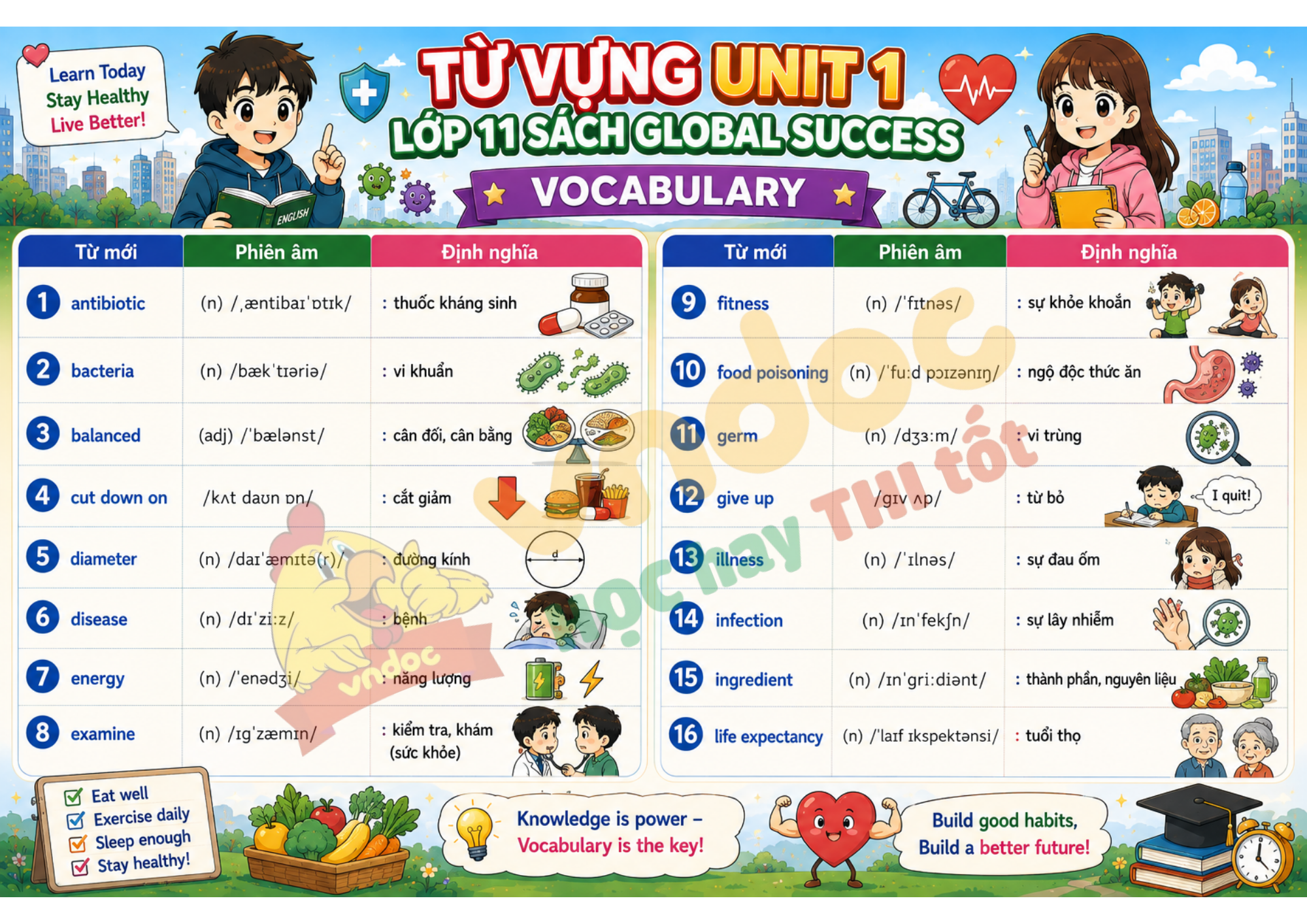Từ vựng Unit 1 lớp 11 minh họa