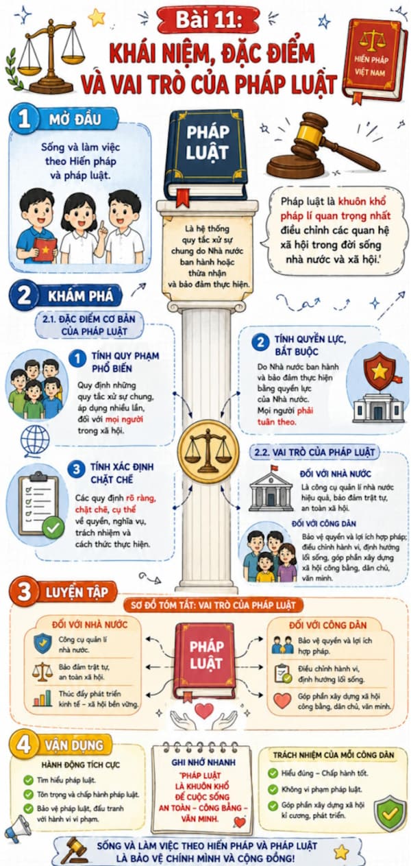Infographic Kinh tế pháp luật 10 bài 11