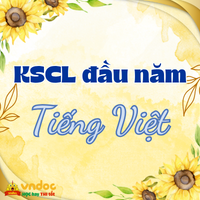 Đề thi khảo sát chất lượng đầu năm lớp 2 môn Tiếng Việt - Đề 1