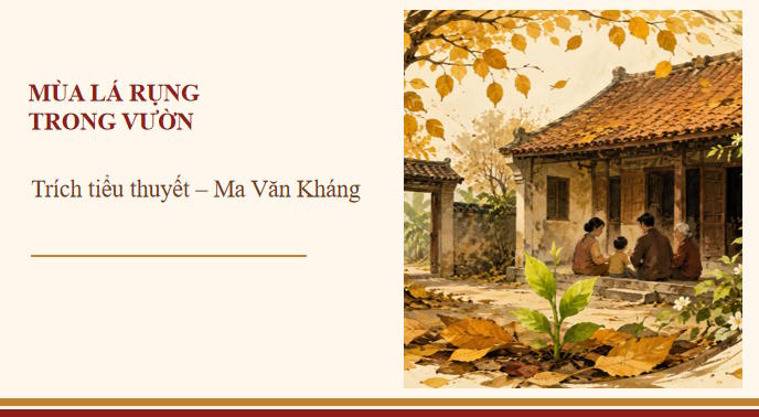 Mua la rung trong vuong 1*8254