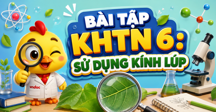 Bài tập KHTN 6: Sử dụng kính lúp
