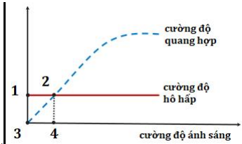 Các dạng bài tập về Quang hợp ở thực vật