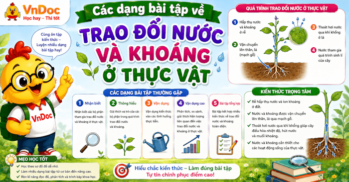 Các dạng bài tập về Trao đổi nước và khoáng ở thực vật