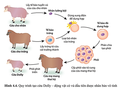 Bộ câu hỏi trắc nghiệm đúng sai về Công nghệ gene