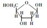 Bộ câu hỏi trắc nghiệm về DNA và tính toán DNA