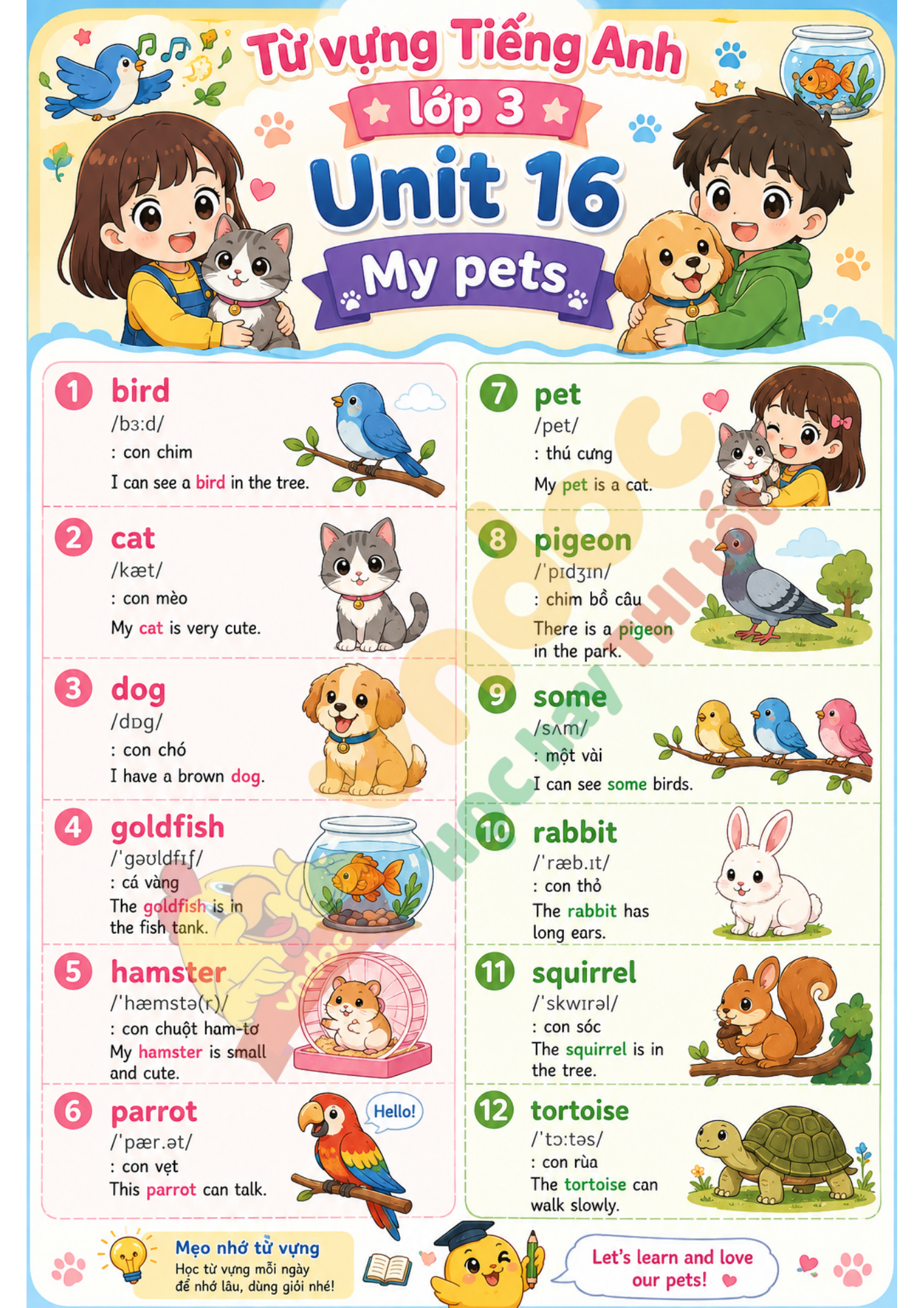Vocab G3 Unit 16 pre*10280