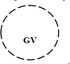 GDTC 1