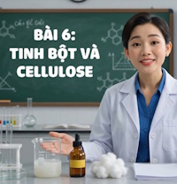 Video mở đầu Hóa 12 Bài 6: Tinh bột và cellulose (AI)