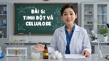 Video mở đầu Hóa 12 Bài 6: Tinh bột và cellulose (AI)