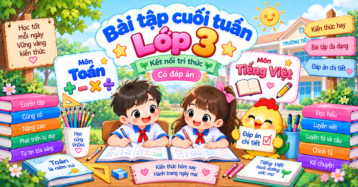 Bài tập cuối tuần lớp 3 Kết nối tri thức Có đáp án