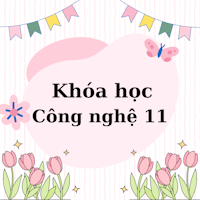 Khóa học Công nghệ 11