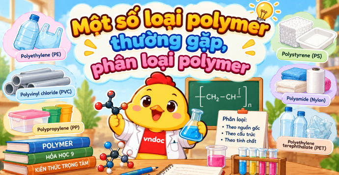Một số loại polymer thường gặp, phân loại polymer