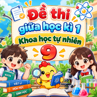 Đề thi giữa học kì 1 KHTN 9 Theo CV 7991 (Dạy nối tiếp) - Đề 1