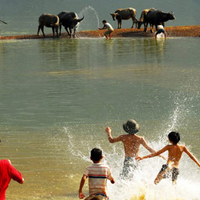 Soạn bài Cách làm bài văn nghị luận về một sự việc, hiện tượng đời sống ngắn gọn