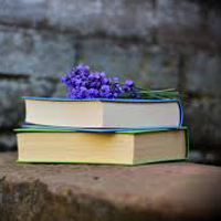 Thi lớp 6 trường Chuyên