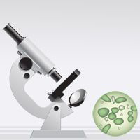 Trắc nghiệm môn Sinh học 11 bài 12