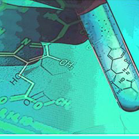 Tóm tắt lý thuyết Sinh học 11 bài 2