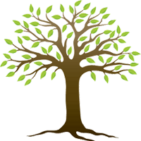 Giáo án Quyền và bổn phận trẻ em lớp 3 trọn bộ