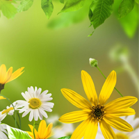 Giải vở bài tập Tự nhiên và Xã hội 1 bài 16: Hoạt động ở lớp