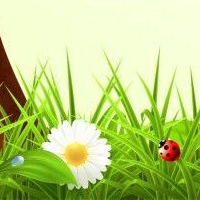 Giải vở bài tập Tự nhiên và Xã hội 1 bài 20: An toàn trên đường đi học