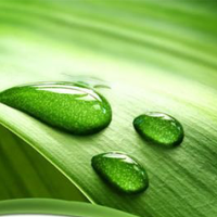 Giải vở bài tập Tự nhiên và Xã hội 1 bài 21: Ôn tập: Xã hội