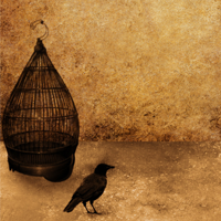 Khởi ngữ, các phần biệt lập - Ngữ văn 9